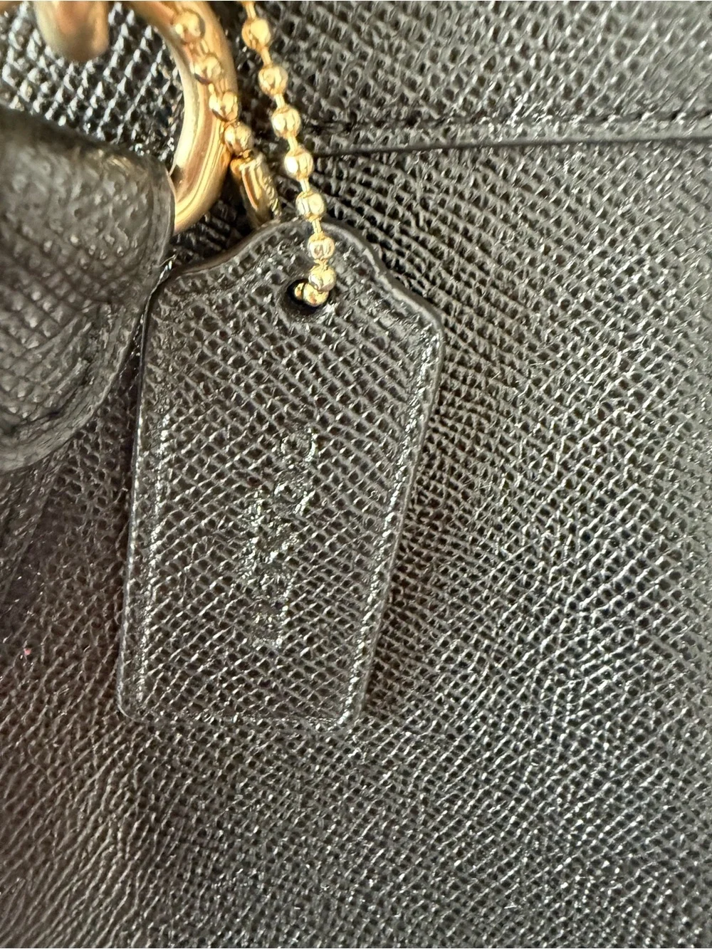 Coach Brook Carryall